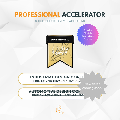 Professional Accelerator Course